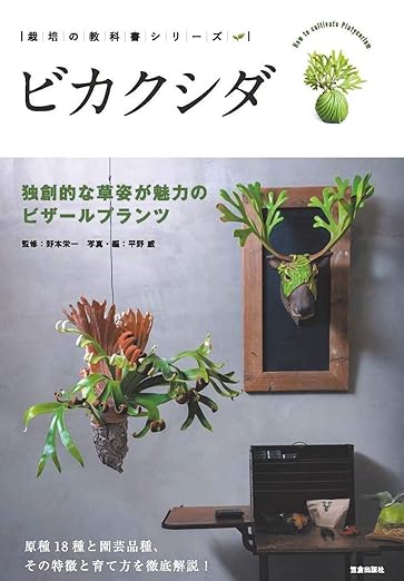ビカクシダ -独創的な草姿が魅力のビザールプランツ-