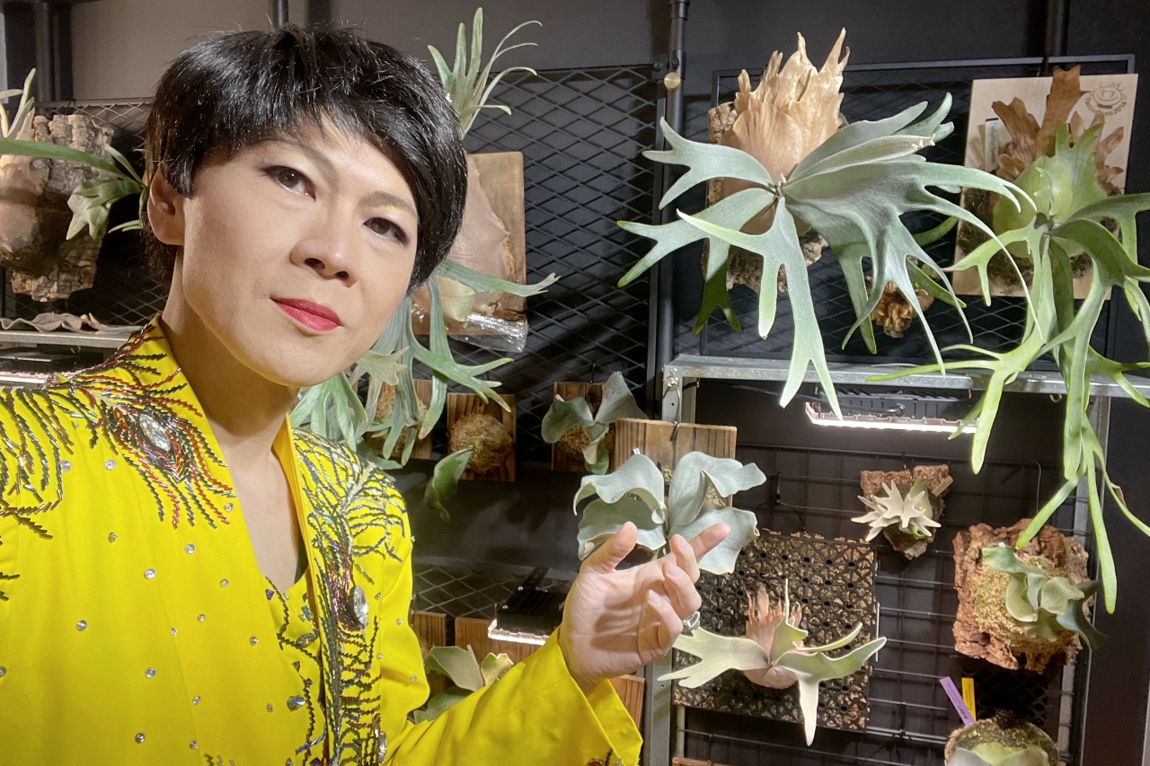ものまねタレントのビカク論：芸能界きってのビカクシダ愛好家・そのまんま美川のビカクシダコラム