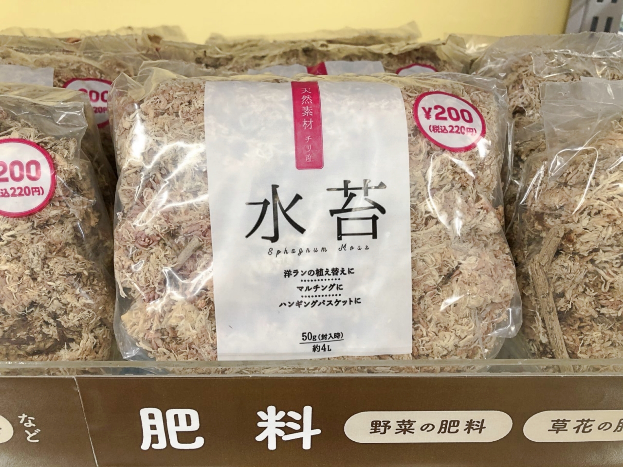 ビカクシダの板付にはおすすめできない100円ショップの水苔