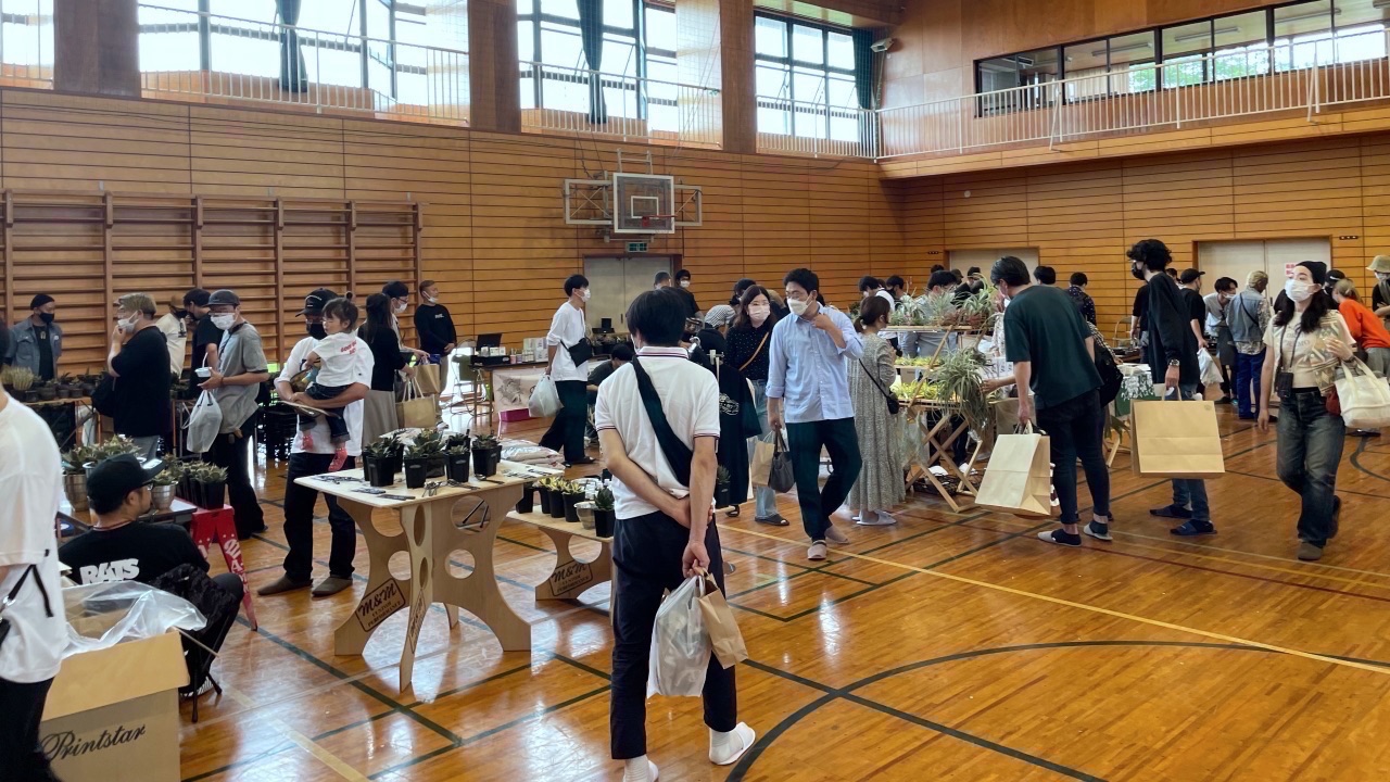 【ビカクシダが欲しい】人生初の植物イベントでビカクシダを買う。一人で参加する「植物イベント」の楽しみ方