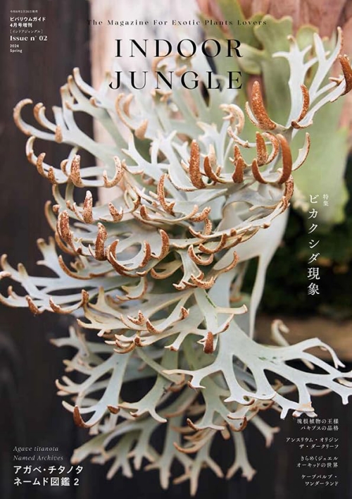 INDOOR JUNGLE No.02 特集”ビカクシダ現象”迫力の秘蔵株掲載で魅力の深淵へ
