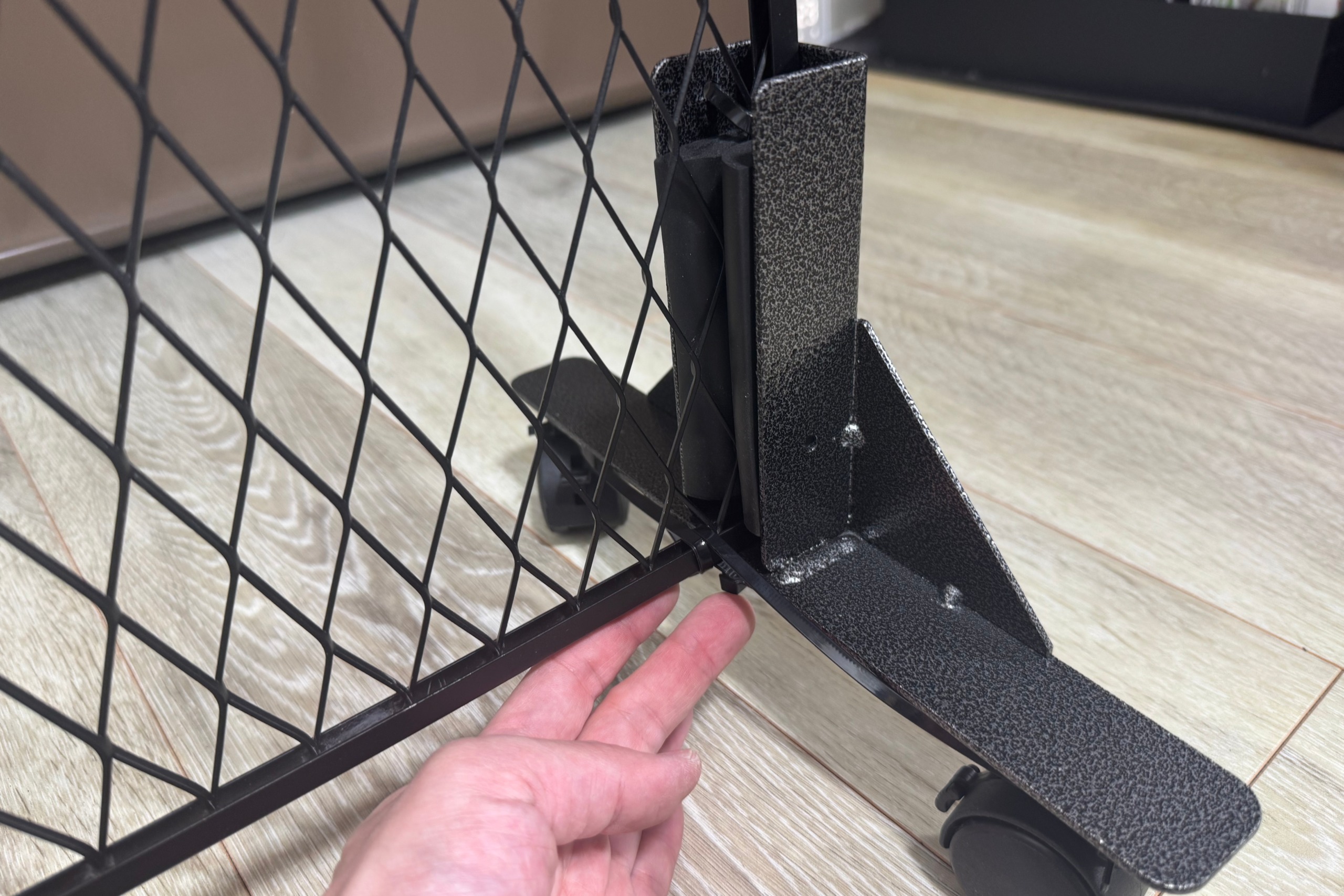 ビカクシダの栽培スペースを増やす工夫：簡易ビカクウォールの作り方
