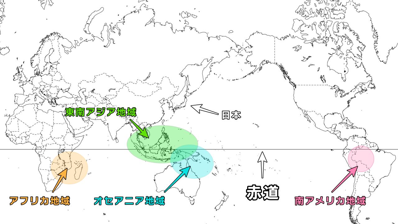 ビカクシダの原種18種類と品種ごとの自生地・特徴・育て方のまとめ