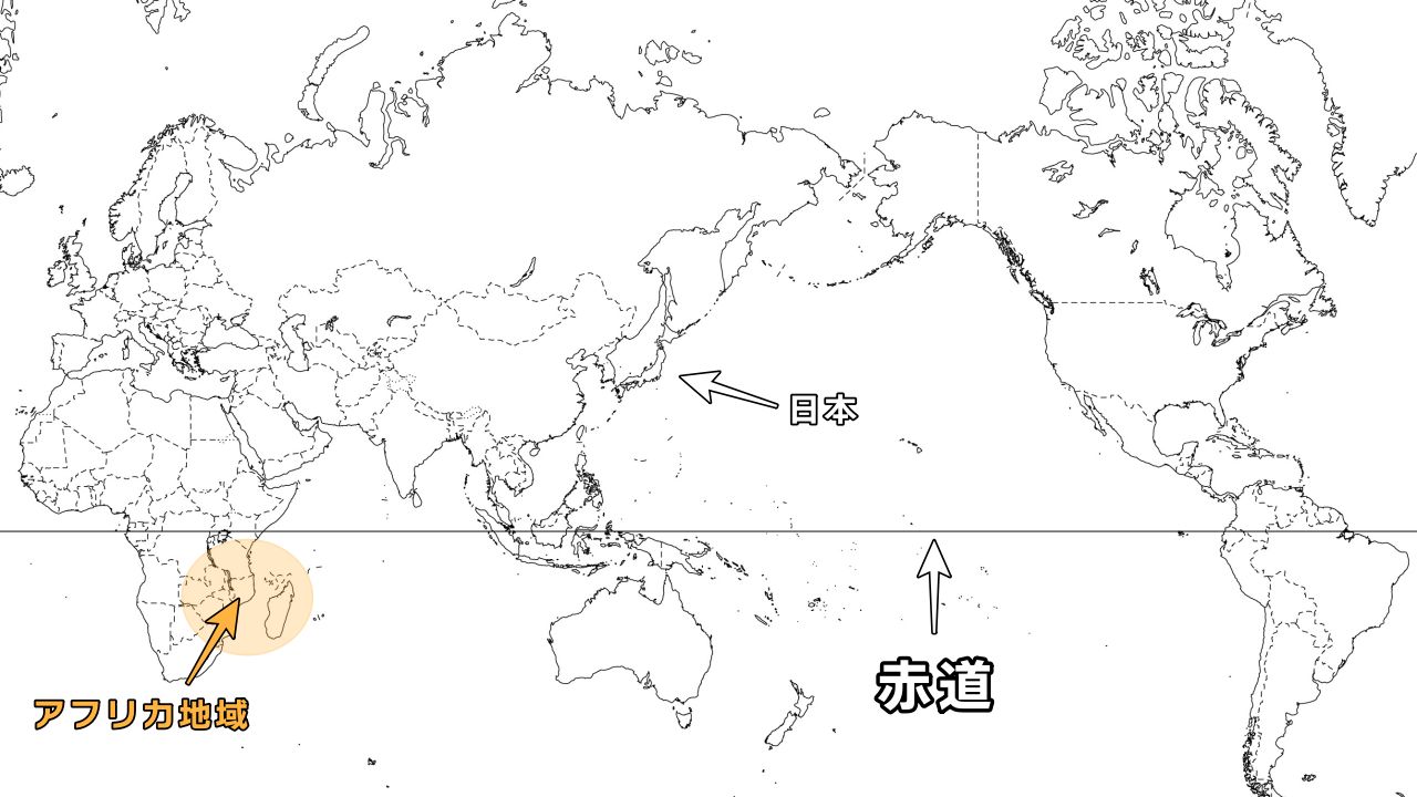 ビカクシダの原種18種類と品種ごとの自生地・特徴・育て方のまとめ