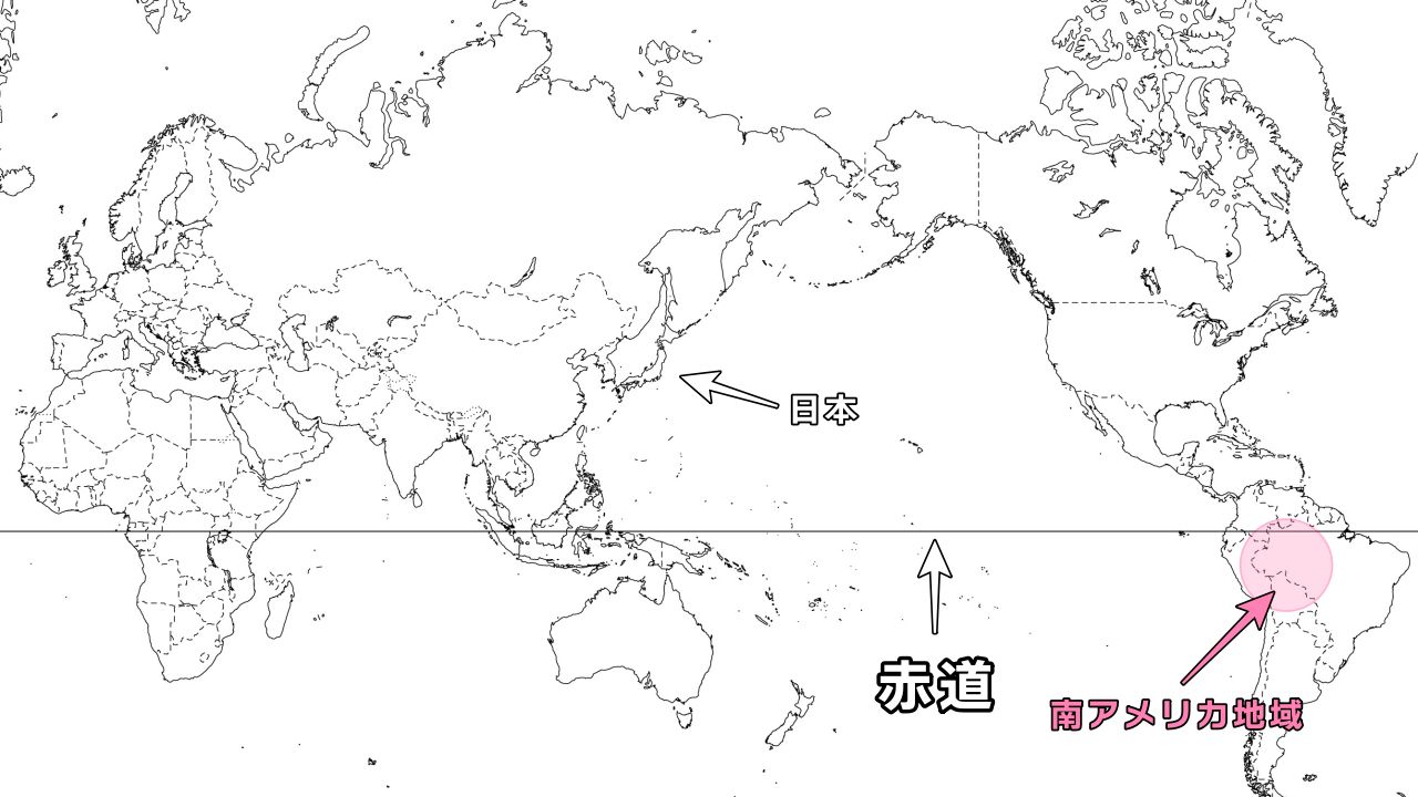 ビカクシダの原種18種類と品種ごとの自生地・特徴・育て方のまとめ