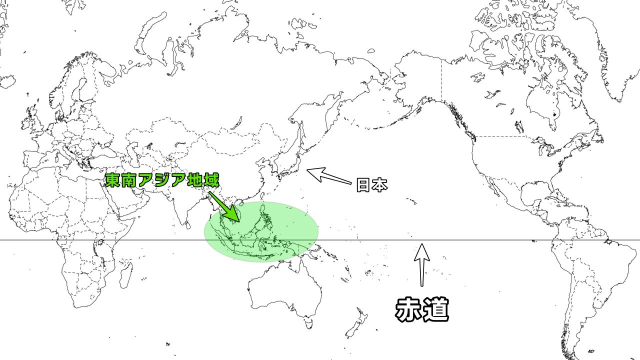 ビカクシダの原種18種類と品種ごとの自生地・特徴・育て方のまとめ