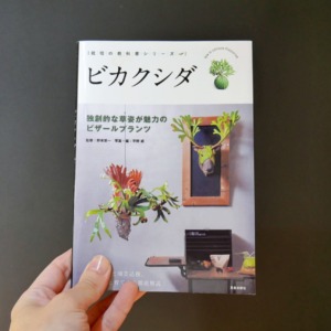 【ビカクシダ専門書】ビカクシダ -独創的な草姿が魅力のビザールプランツ- 