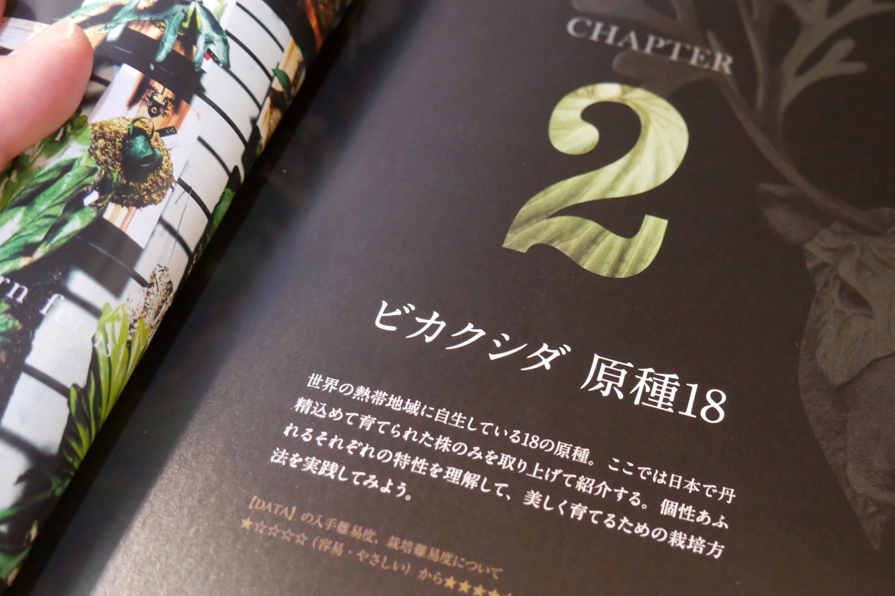 【ビカクシダ専門書】ビカクシダ -独創的な草姿が魅力のビザールプランツ- 
