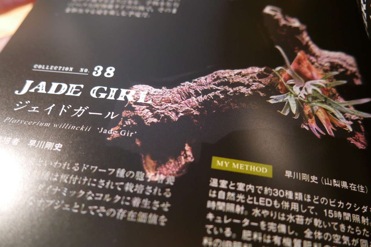 【栽培の教科書シリーズ ビカクシダ2】中級者向けの応用的な内容が充実の一冊