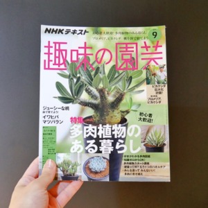 ビカクシダの育て方が特集【趣味の園芸2019年9月号】レビュー