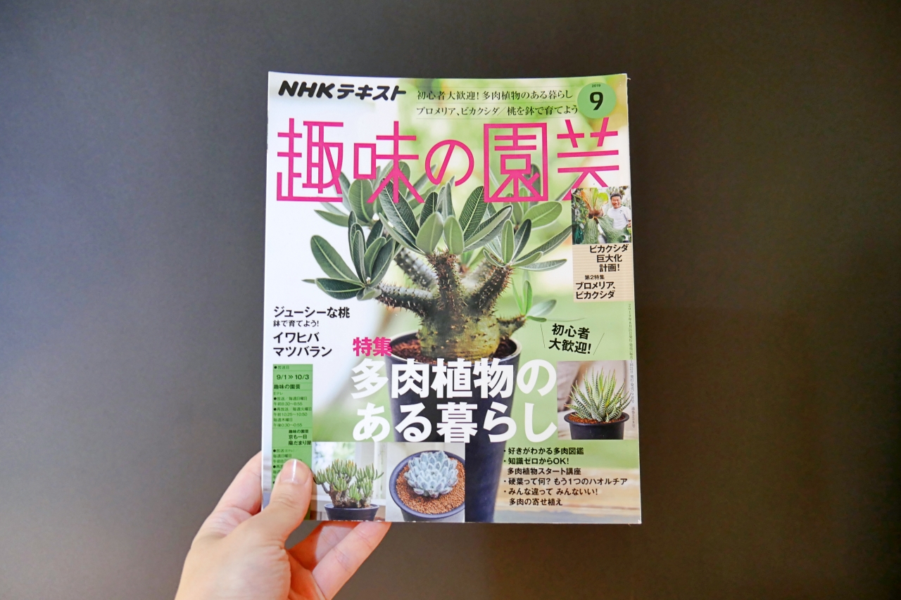 ビカクシダの育て方が特集【趣味の園芸2019年9月号】レビュー
