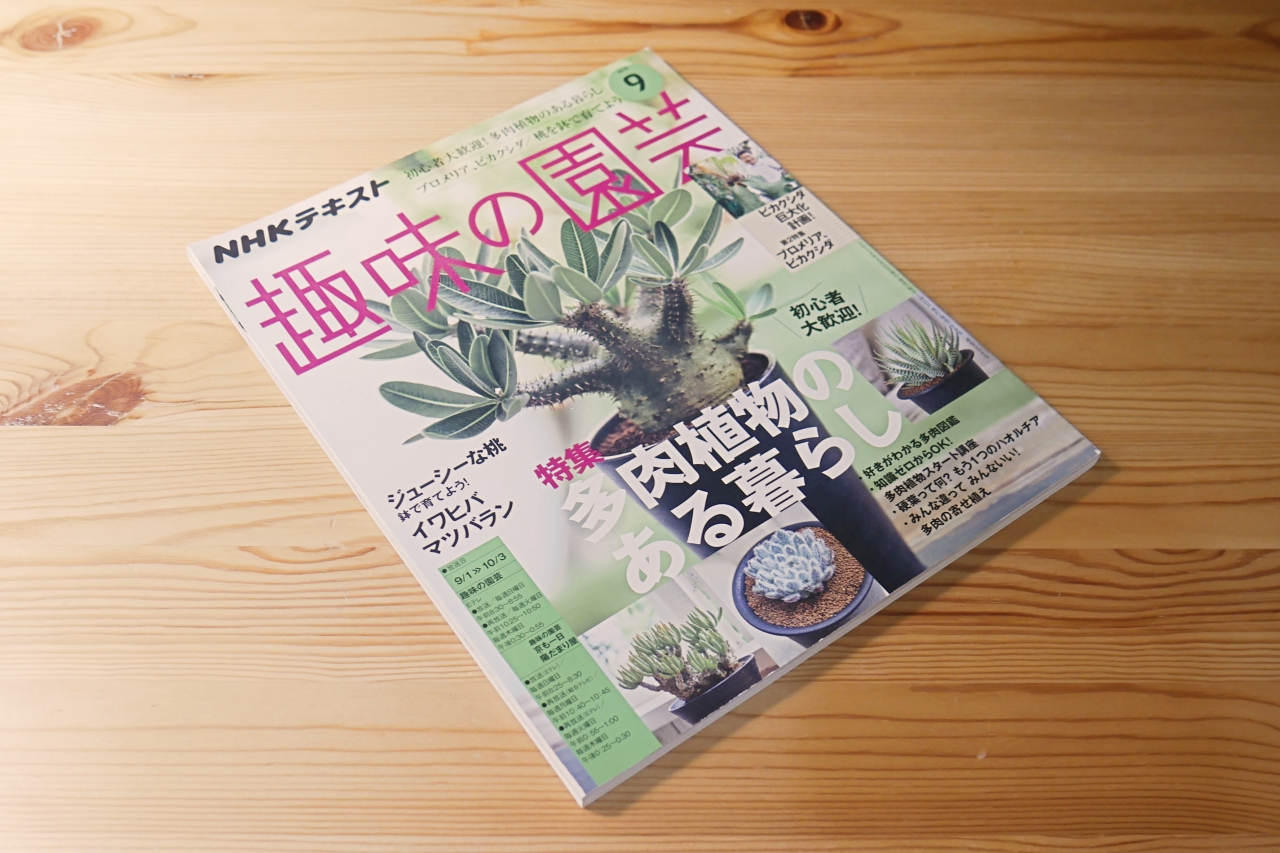 ビカクシダの育て方が特集【趣味の園芸2019年9月号】レビュー