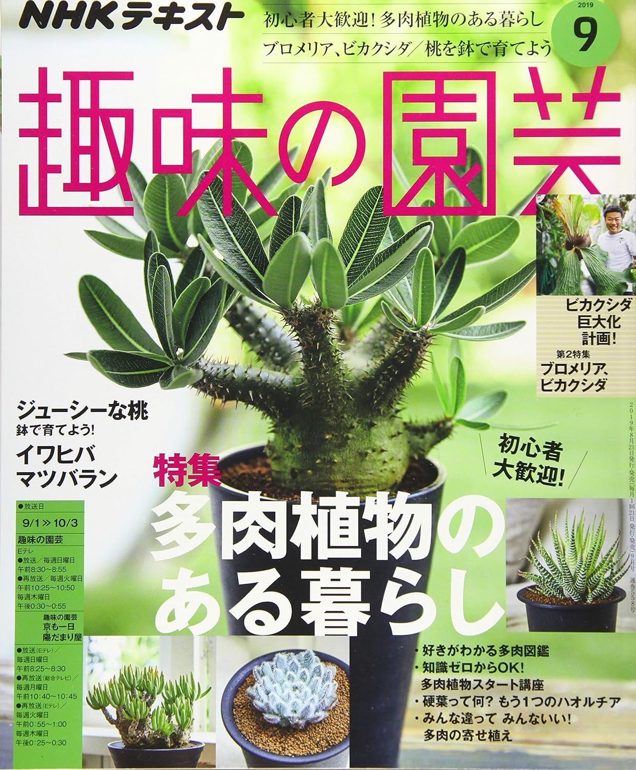 ビカクシダの育て方が特集【趣味の園芸2019年9月号】レビュー