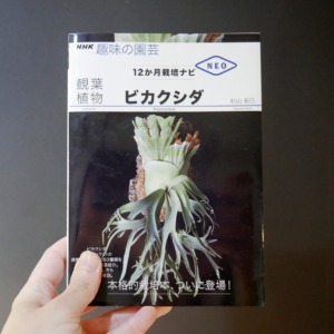 【趣味の園芸ビカクシダ】12ヶ月栽培ナビがわかりやすい専門書