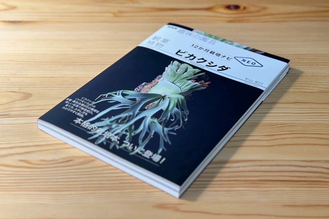 【趣味の園芸ビカクシダ】12ヶ月栽培ナビがわかりやすい専門書