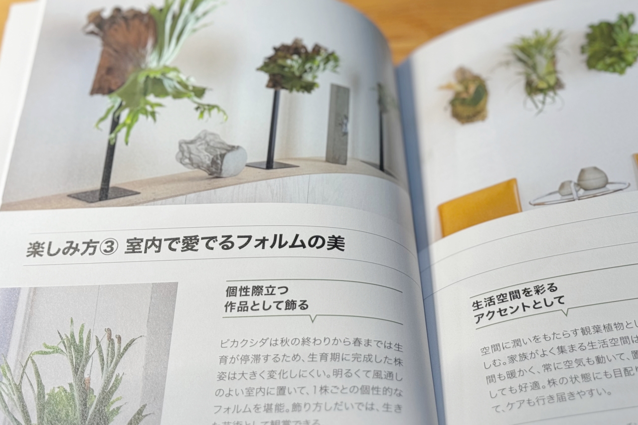 【趣味の園芸ビカクシダ】12ヶ月栽培ナビがわかりやすい専門書