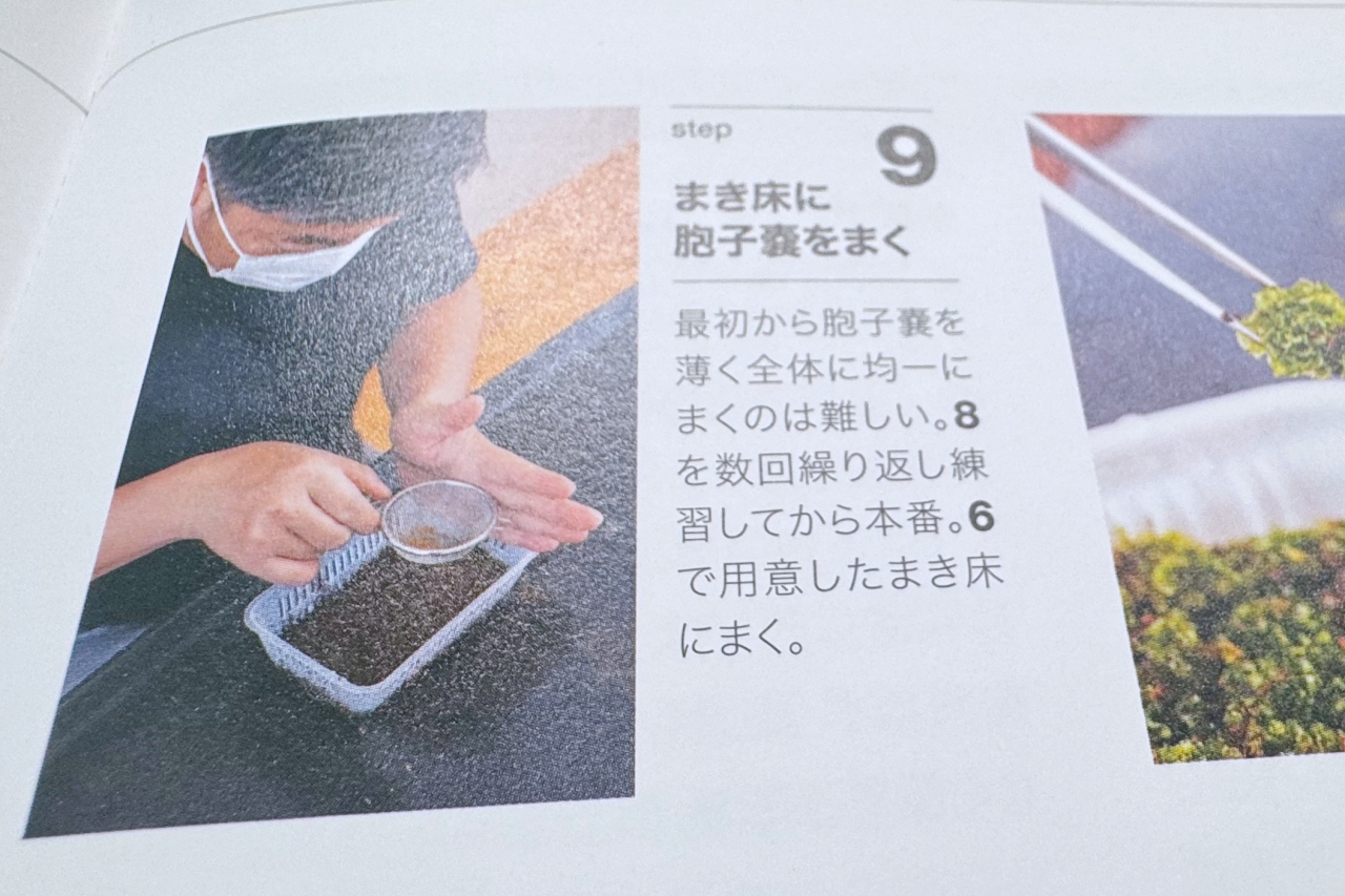 【趣味の園芸ビカクシダ】12ヶ月栽培ナビがわかりやすい専門書