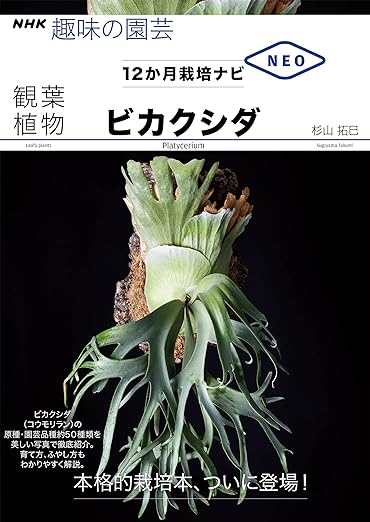 【趣味の園芸ビカクシダ】12ヶ月栽培ナビがわかりやすい専門書