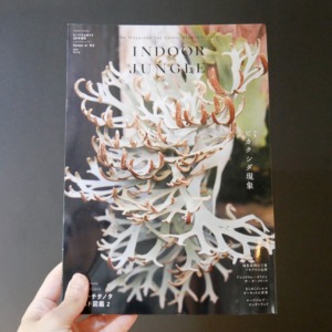 INDOOR JUNGLE No.02 特集”ビカクシダ現象”迫力の秘蔵株掲載で魅力の深淵へ