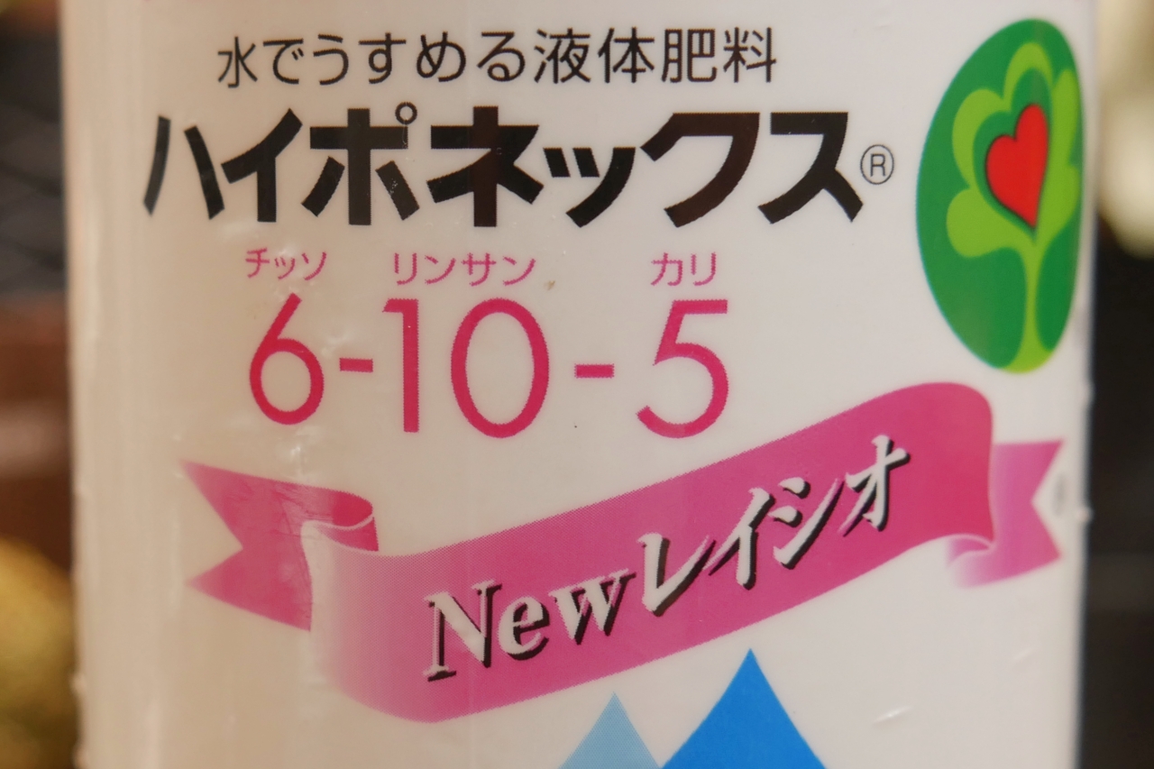 ビカクシダ栽培における【肥料】と【活力剤】の役割の違いと与えるタイミング