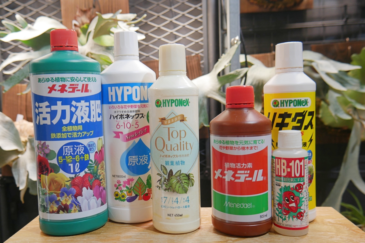 ビカクシダ栽培における【肥料】と【活力剤】の役割の違いと与えるタイミング