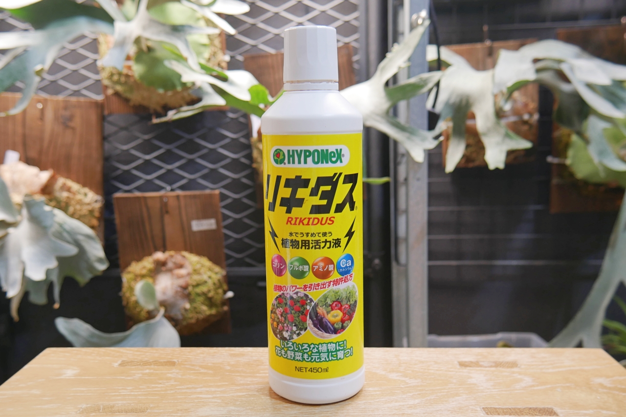 ビカクシダ栽培における【肥料】と【活力剤】の役割の違いと与えるタイミング